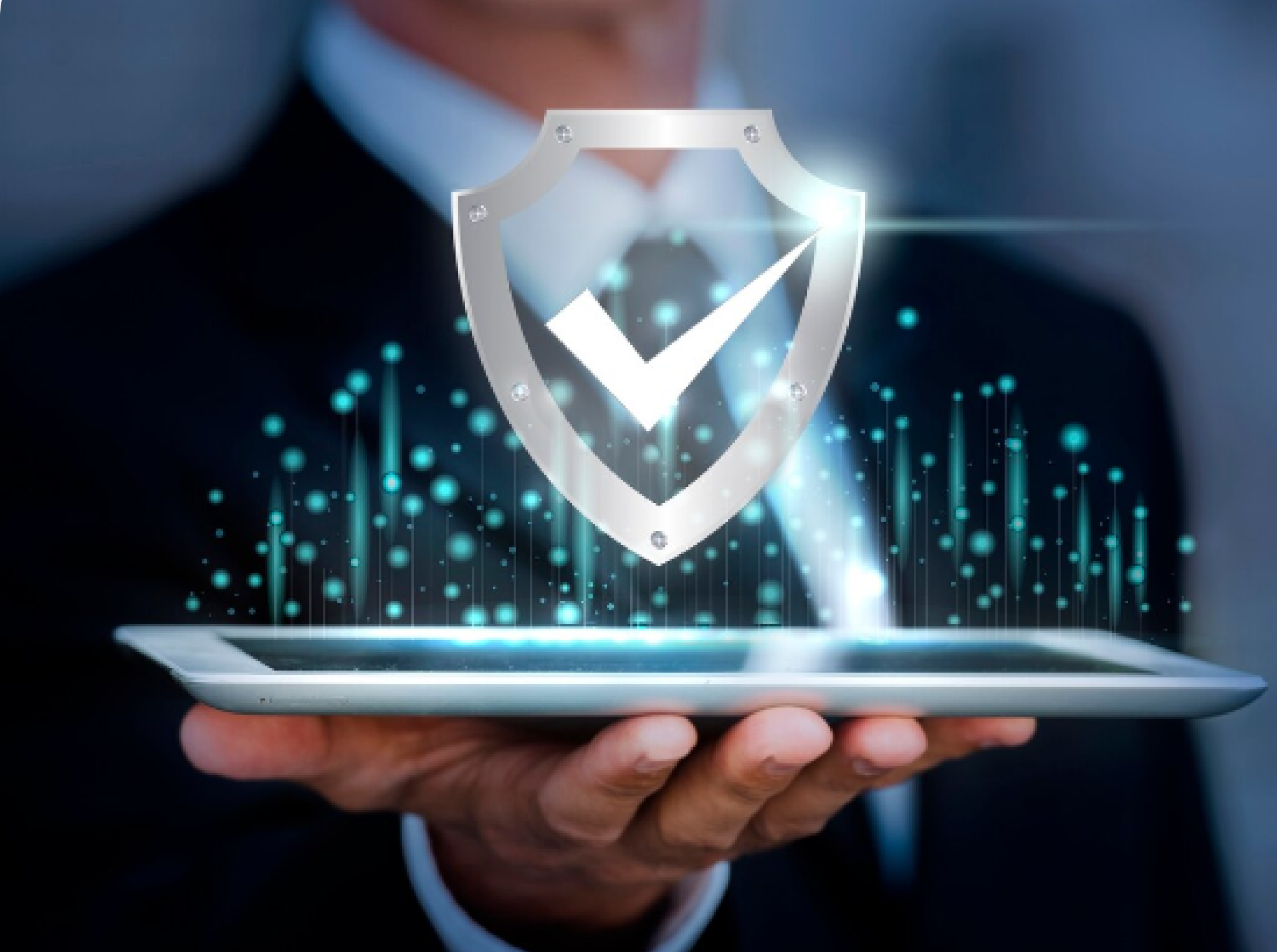 Integrated Security